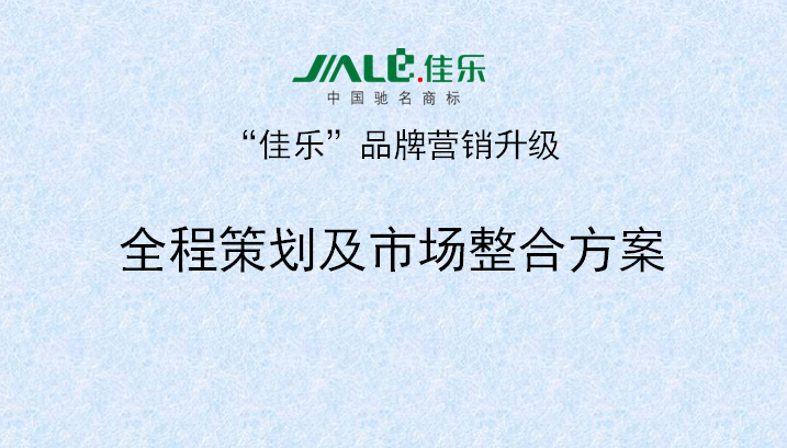 2013年3月18日正睿專家老師向佳樂項目董事長陳述調(diào)研報告