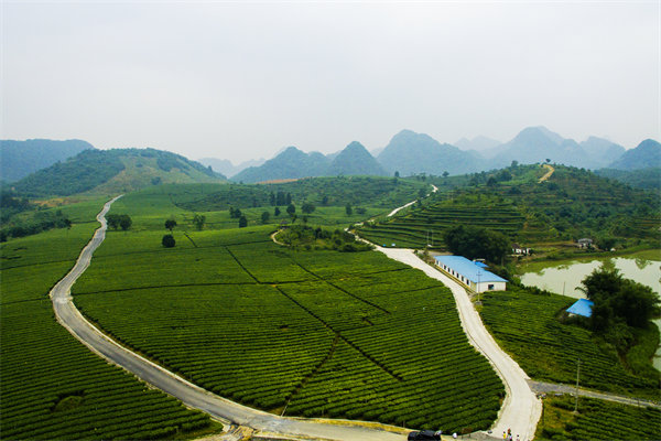 清遠(yuǎn)管理咨詢機(jī)構(gòu)的定制化服務(wù)方面包含哪些內(nèi)容？